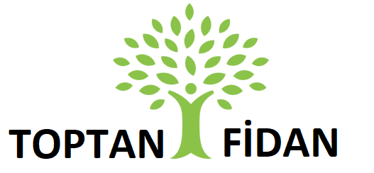 toptanfidan.com